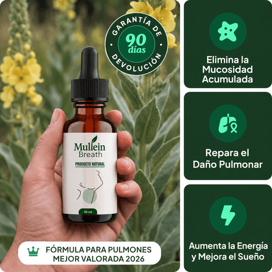 Mullein Breath - Gotas de Limpieza y desintoxicación pulmonar
