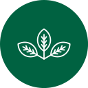 Alt Image